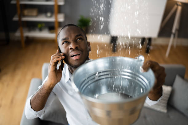 Best 24/7 water damage repair  in Cullman, AL