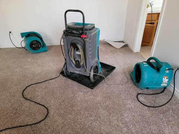 , AL Water damage restoration Company