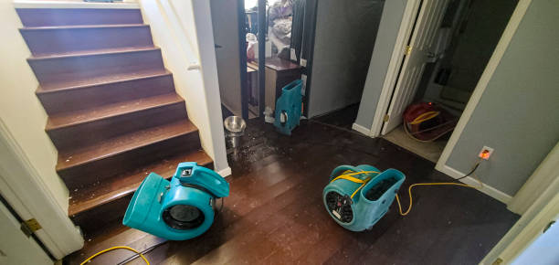 Best Local water damage restoration  in Cullman, AL