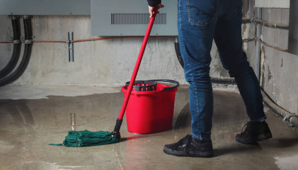 Best Flood restoration services  in Cullman, AL