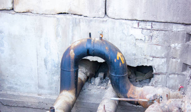 Best Water damage cleanup near me  in Cullman, AL