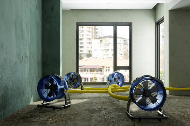 Best Carpet water damage restoration  in Cullman, AL